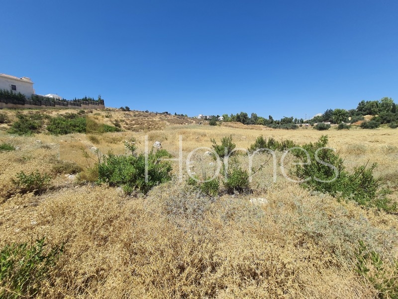 Land for sale near the University of Petra, with an area of 1795 m