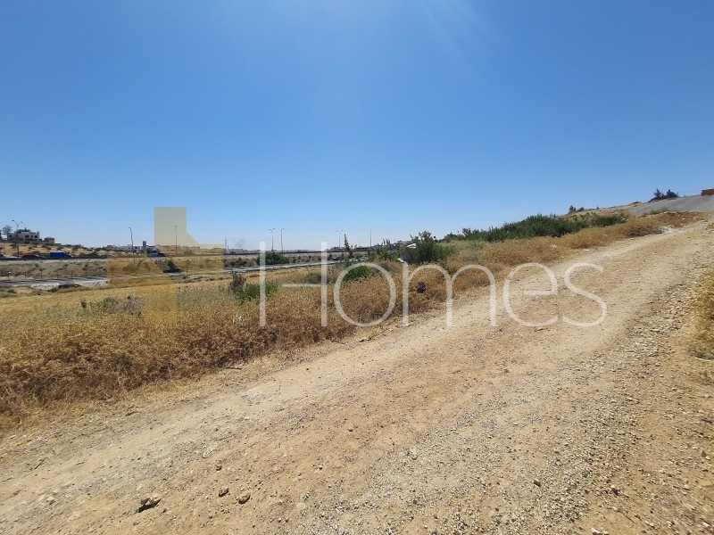 Land for sale near the University of Petra, with an area of 1200 sqm