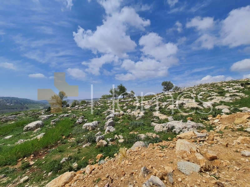 Land for sale in Abu AlSoos, for building a villa with area of 1268m