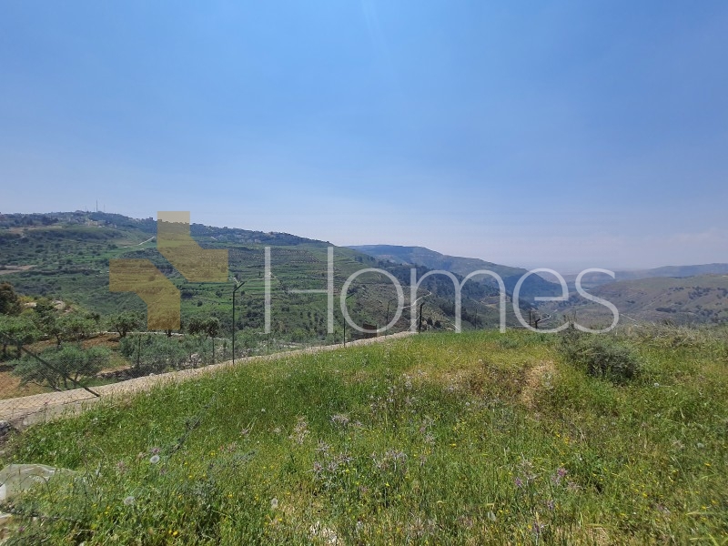 Land for sale in Marj El Hamam for investment projects area of 3999m