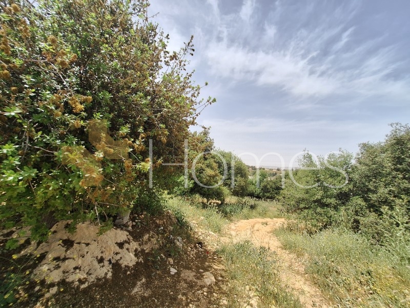 Land for sale in Al Fuhais for building a private villa area of 2000m