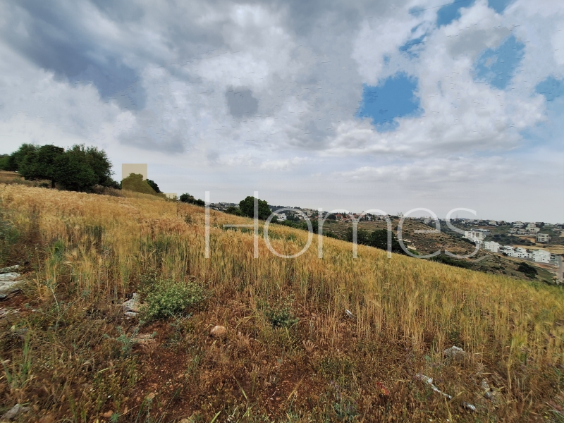 Land for building a private villa for sale Dabouq a land area of 3843m