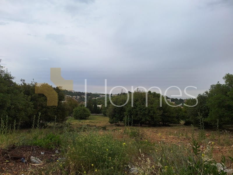 Residential and commercial real estate for sale in Dabouq at