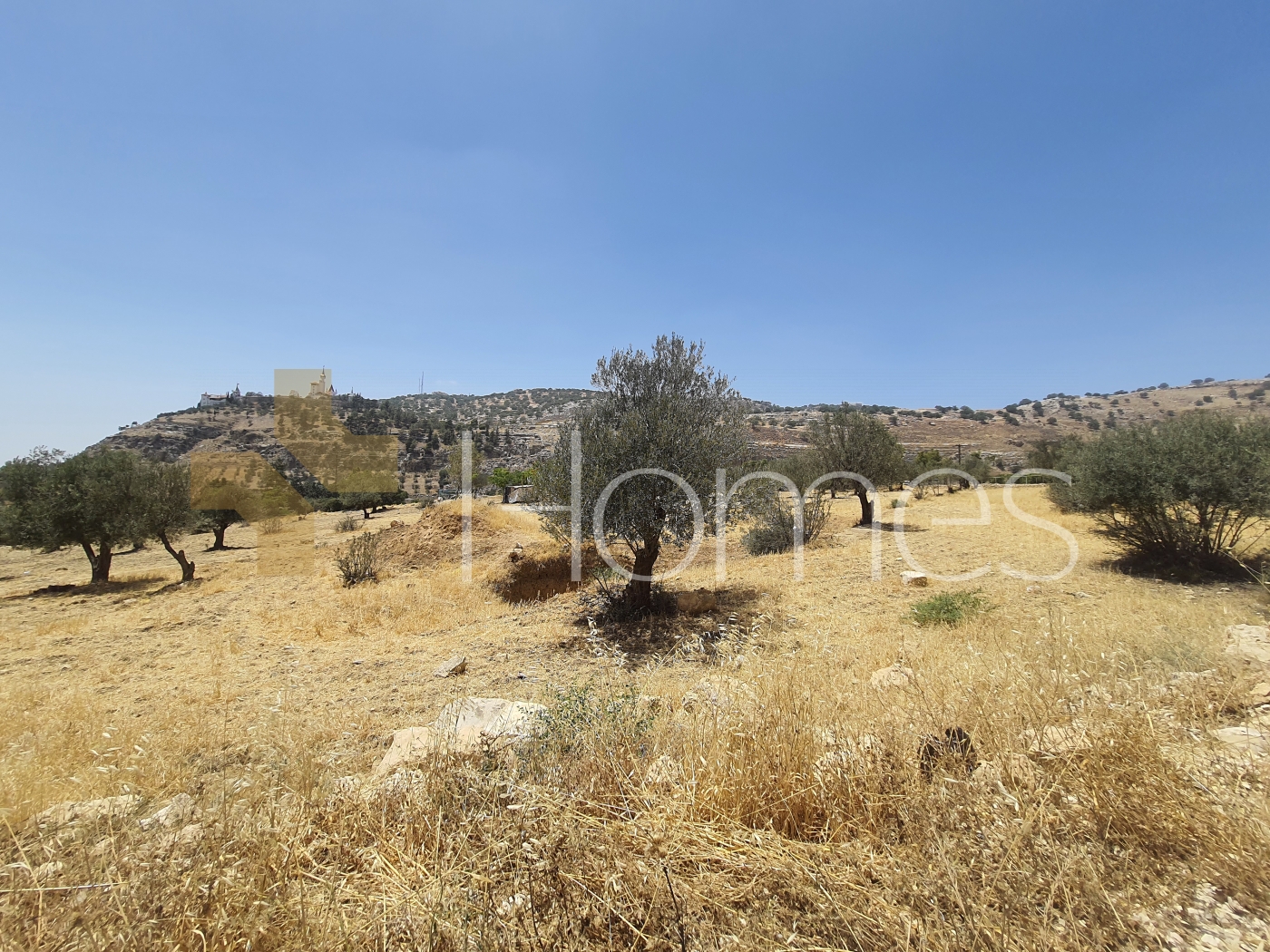 Land for sale in Al Bahhath suitable for building villa, area of 4,225m