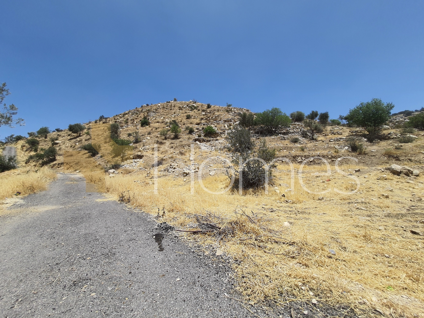 Land for sale in Al Bahhath suitable for building farm, area of 6,125m