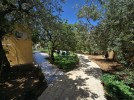 Furnished farm for rent in Al Salt with a land area of 5000m