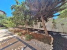 Apartment with a garden for rent in Abdoun 350m