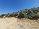 Land for sale in Fuheis at an attractive price, with an area of 1640m