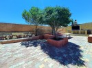 Farm for sale in Naour, with a building area of 650m and a land 4000m