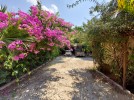 A licensed park and restaurant for sale Amman albahath , land 4000m