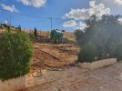 Farm with chalet for sale in Jerash with a land area of 7165m