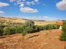 Farm with chalet for sale in Jerash with a land area of 7165m
