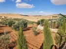 Farm with chalet for sale in Jerash with a land area of 7165m