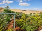 Farm with chalet for sale in Jerash with a land area of 7165m
