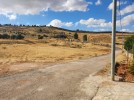 Farm with chalet for sale in Jerash with a land area of 7165m