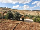 Farm with chalet for sale in Jerash with a land area of 7165m