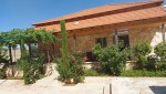 Farm with chalet for sale in Jerash with a land area of 7165m