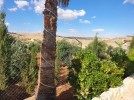 Farm with chalet for sale in Jerash with a land area of 7165m