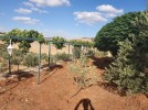 Farm with chalet for sale in Jerash with a land area of 7165m
