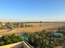 Investment farm for sale in Al-Ghor, with a land area of 11,666m.