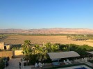 Investment farm for sale in Al-Ghor, with a land area of 11,666m.