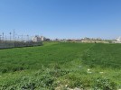 Land for sale in Al Dumaina, for building a private villa area 2273m