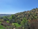 Land for sale in New Badr with an area of 800m