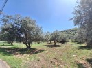Land for sale in New Badr with an area of 626m