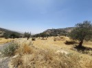 Land for sale in Al Bahhath suitable for building farm, area of 6,125m