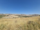 Land for sale suitable for building farm in Na'or, land area of 544m