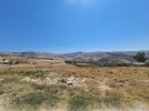 Land for sale suitable for building farm in Na'or, land area of 544m