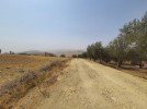 Land for sale in Marj El Hamam, land area of 7450m