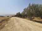 Land for sale in Marj El Hamam, land area of 7450m