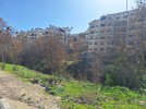 Two attached plots of land for sale in Abdoun with a land area 1546m
