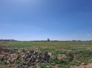 Land suitable for building farm for sale in100 Street, area of 1206m