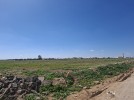 Land suitable for building farm for sale in100 Street, area of 1206m