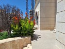 Standalone villa with pool for sale in Al-Kursi with building 1429m