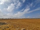 ارض استثمارية تصلح للافراز للبيع في ام العمد بمساحة ارض 10,240م